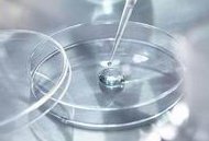 死精率80%的男性可以在广东省做三代试管吗？公开2026做三代试管条件