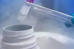 卵巢功能该如何判断？卵巢储备功能减退对生育有什么影响？卵巢功能会不会影响试管婴儿成功率？