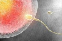 试管婴儿的胚胎移植是个怎样的过程？